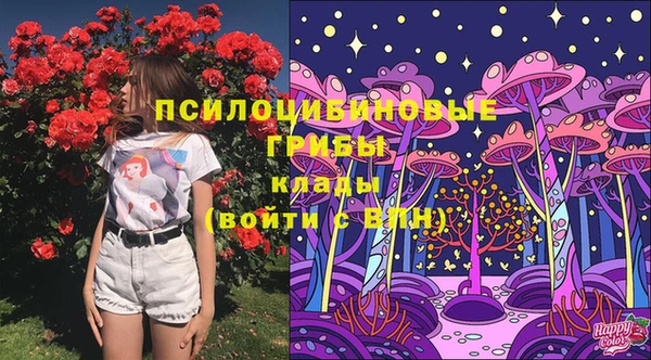 метамфетамин Аркадак