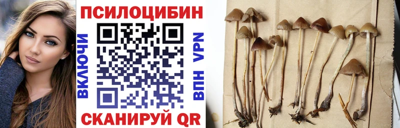 Галлюциногенные грибы Psilocybine cubensis  цены наркотик  Барабинск 